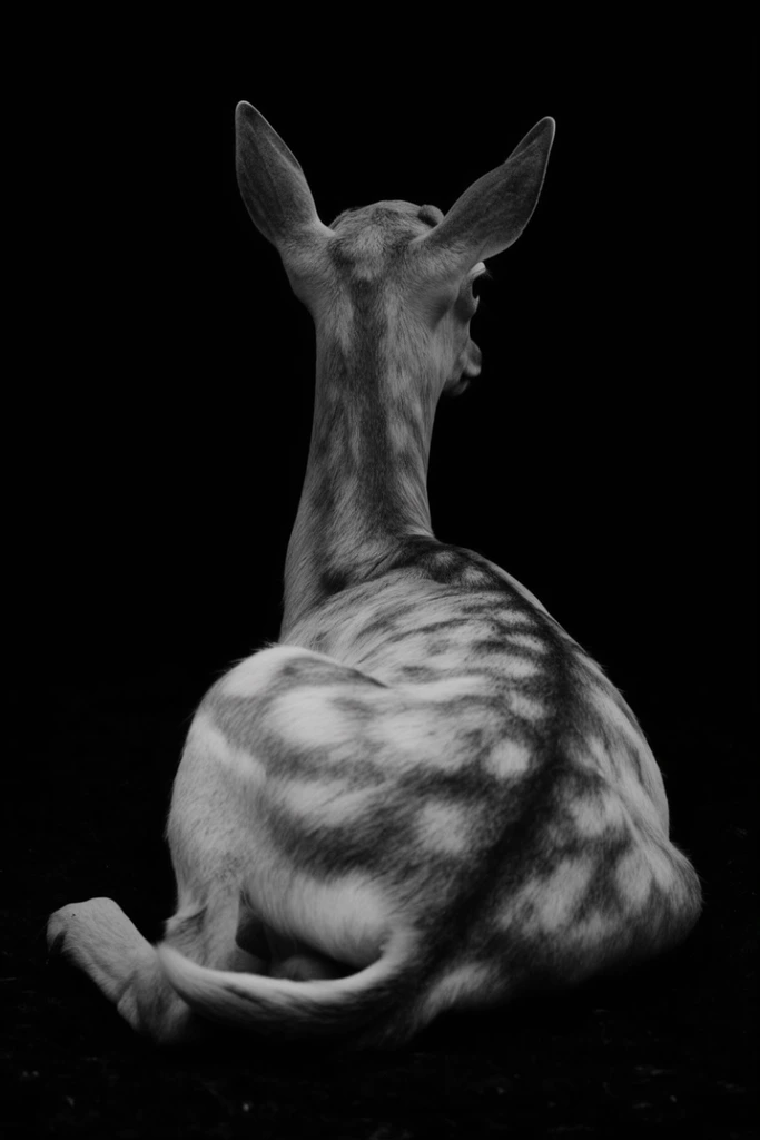 Cinematic Chiaroscuro Noir style AI image example 3