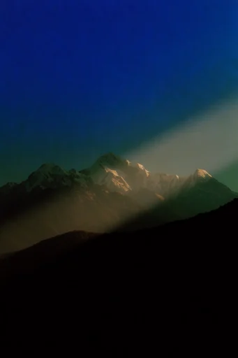 Cinematic Neo-Noir Chiaroscuro style reference image — dual-chromatic palette