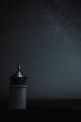 Nocturnal Celestial Minimalism style reference image — stark silhouette