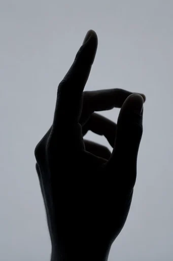 Monochromatic Sculptural Silhouette style reference image — stark rim lighting