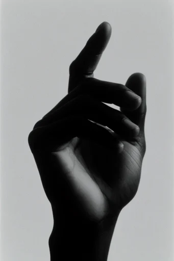 Sculptural Chiaroscuro Minimalism style reference image — monochrome graphic silhouette