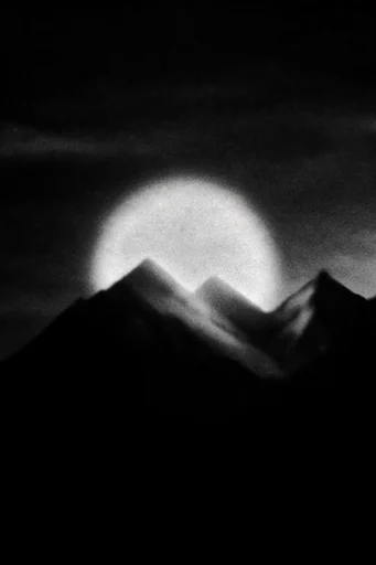 Luminous Noir Abstraction style reference image — high-contrast black and white