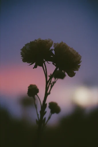 Ethereal Twilight Nostalgia style reference image — nostalgic melancholic mood