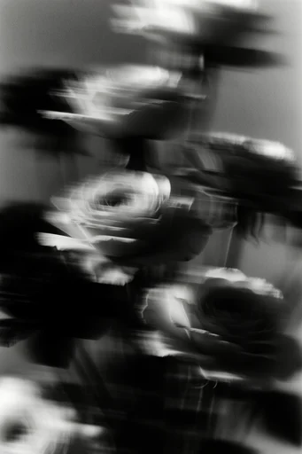 Kinetic Noir Abstraction style reference image — dynamic motion blur