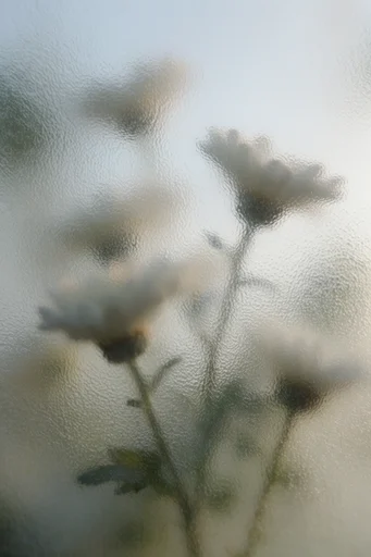 Ethereal Veiled Abstraction style reference image — diffused atmospheric lighting