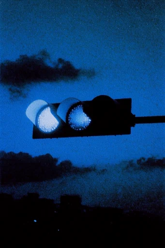 Luminous Nocturnal Grain style reference image — heavy film grain