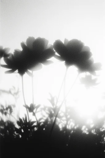 Monochrome Ethereal Noir style reference image — vintage analog aesthetic