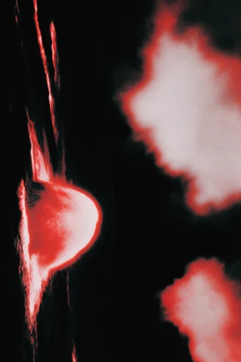 Spectral Thermal Noir style reference image — infrared thermal aesthetic