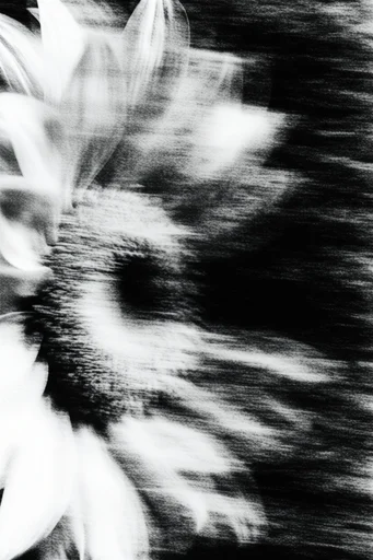 Analog Signal Decay style reference image — pixel sorting