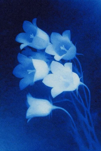 Luminous Cobalt Nocturne style reference image — surreal dreamcore