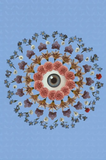 Surrealist Minimalist Fragmentation style reference image — conceptual photography