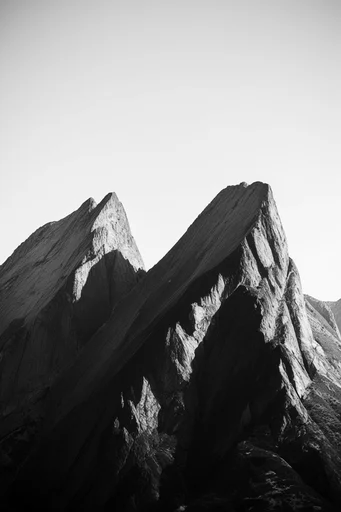 Graphic Monochrome Minimalism style reference image — high-contrast monochrome