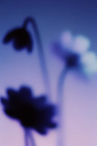 Ethereal Liminal Haze style reference image — low fidelity