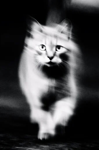 Spectral Kinetic Noir style reference image — chiaroscuro lighting