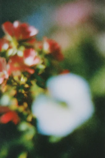 Kinetic Dreamcore Analog style reference image — soft focus glow