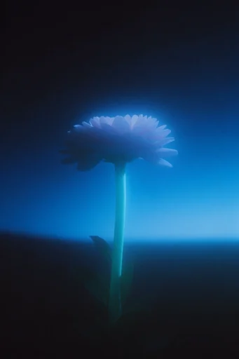Monolithic Cyan Void style reference image — gritty film grain