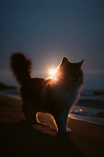 Ethereal Nocturnal Luminance style reference image — ethereal light burst