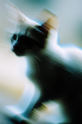 Spectral Chromatic Etherealism style reference image — spectral silhouette