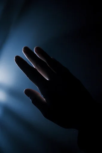 Cinematic Chiaroscuro Noir style reference image — warm amber rim light