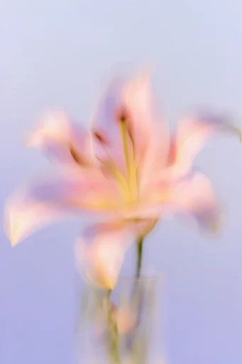 Ethereal Kinetic Iridescence style reference image — ethereal pastel gradient
