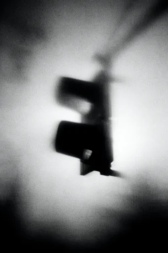 Obscured Monochrome Noir style reference image — monochrome silhouette