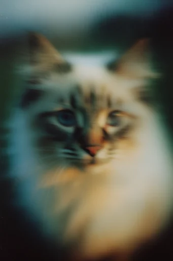 Ethereal Nocturnal Pictorialism style reference image — dreamlike ethereal haze
