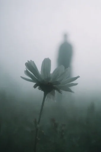 Atmospheric Cyan Solitude style reference image — eerie silence