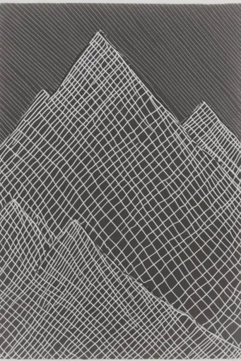 Monochrome Algorithmic Precision style reference image — optical illusion