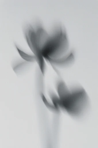 Ethereal Ghostly Motion style reference image — muted neutral tones