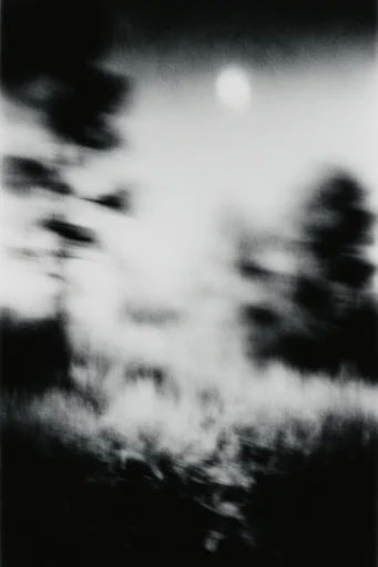 Kinetic Noir Spectralism style reference image — heavy film grain