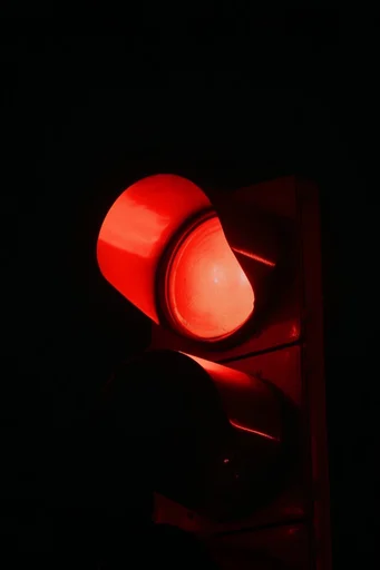 Monochromatic Crimson Noir style reference image — high-contrast silhouette