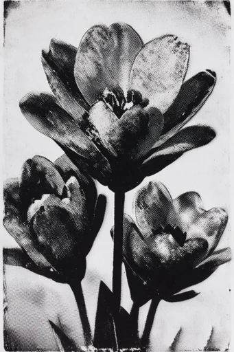 Monochrome Print Noir style reference image — vintage off-white paper