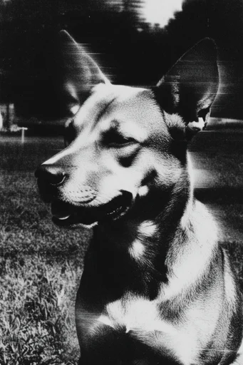 Fractured Analog Horror style reference image — psychological fragmentation