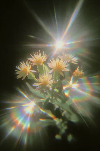 Ethereal Prismatic Luminescence style reference image — dreamy soft focus