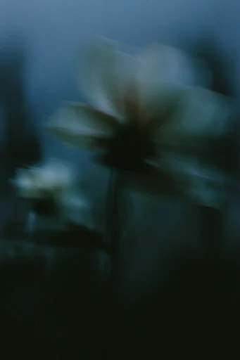 Cinematic Motion Impressionism style reference image — long exposure