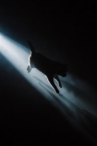 Cinematic Volumetric Noir style AI image example 3