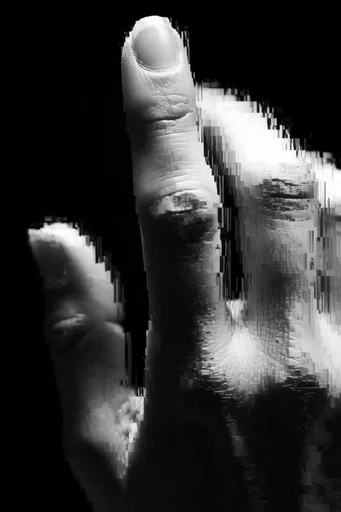Monochrome Glitch Noir style reference image — high contrast noir