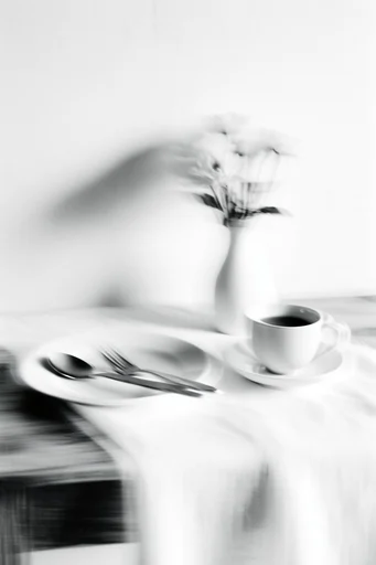 Kinetic Monochrome Minimalism style reference image — stark monochrome