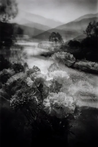 Spectral Analog Gothic style reference image — spectral atmosphere