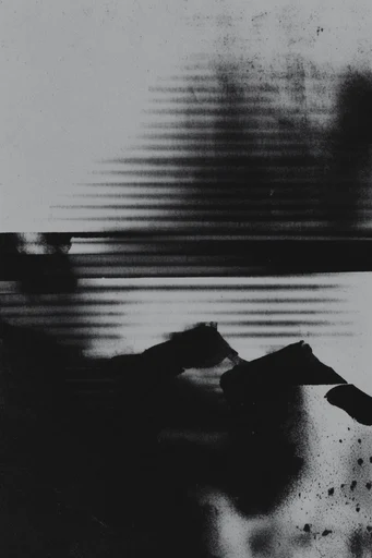 Monochrome Glitch Noir style reference image — monochrome glitch art