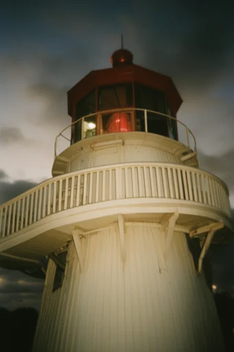 Analog Cinematic Nostalgia style reference image — soft focus haze