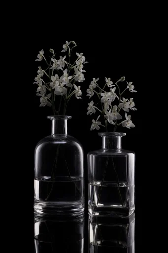 Monochrome Refractive Minimalism style reference image — caustic light patterns