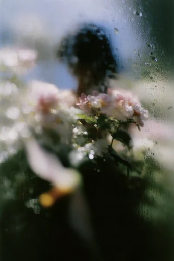 Ethereal Pictorialist Haze style reference image — vintage light leaks