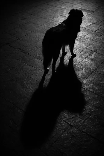 Monochrome Glitch Noir style reference image — urban noir