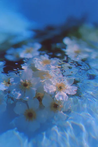 Submerged Analog Glitch style reference image — liminal dreamscape