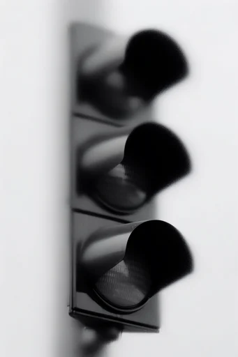 Ethereal Monochrome Motion style reference image — intentional motion blur