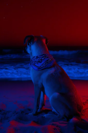 Cinematic Neon Noir style reference image — glossy skin textures