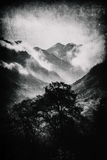 Haunting Monochrome Pictorialism style reference image — chiaroscuro noir