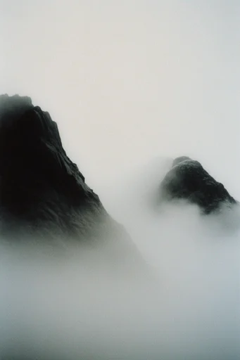 Ethereal Minimalist Melancholy style reference image — heavy film grain