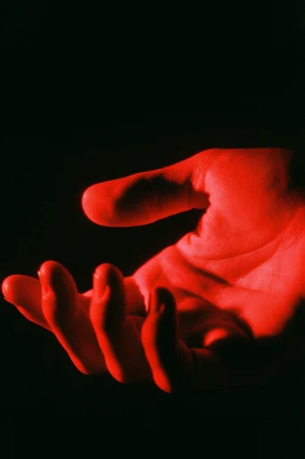 Cinematic Crimson Noir style reference image — saturated crimson and black